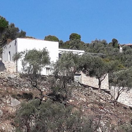 House Λ Villa Moni Evaggelistrias Exterior photo