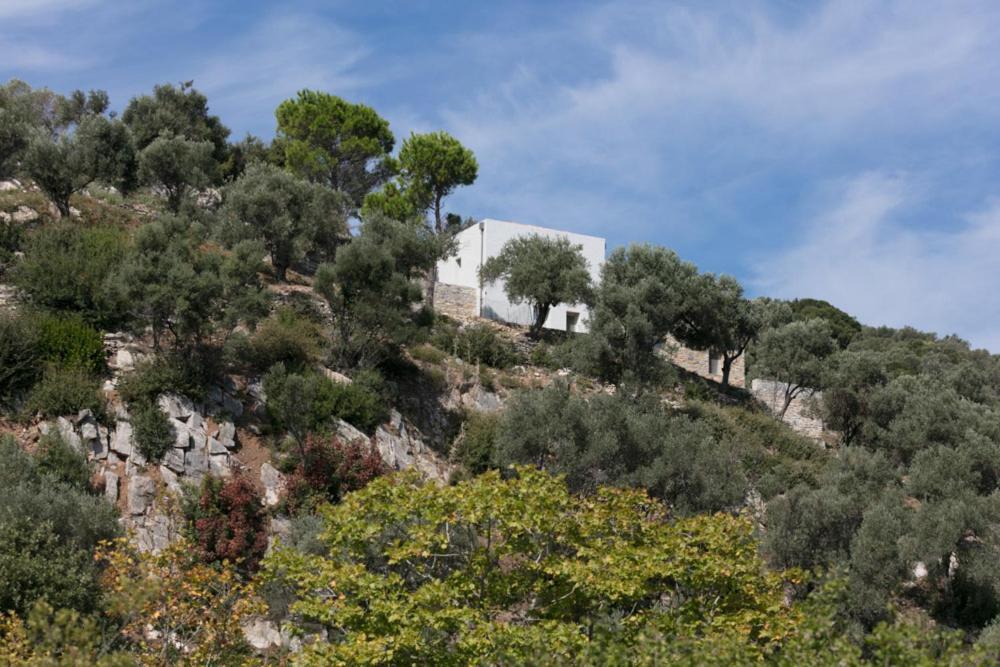House Λ Villa Moni Evaggelistrias Exterior photo