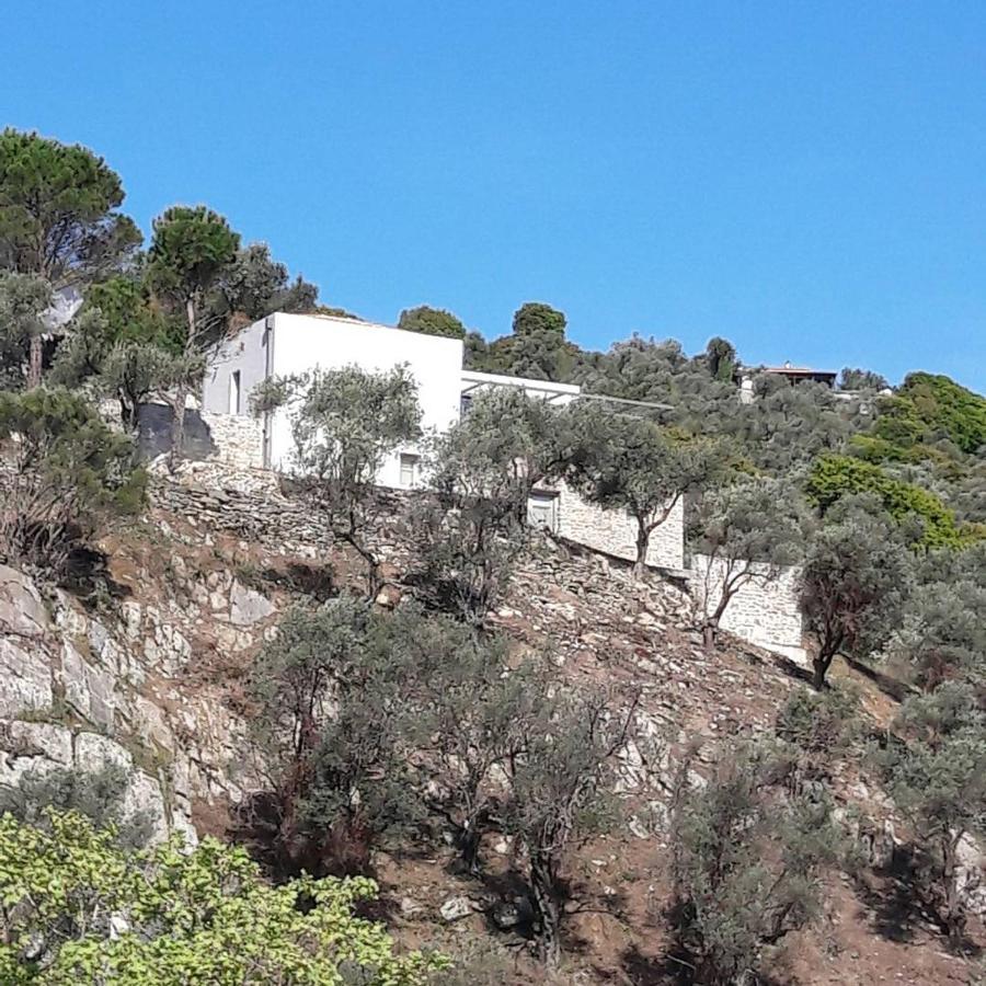 House Λ Villa Moni Evaggelistrias Exterior photo