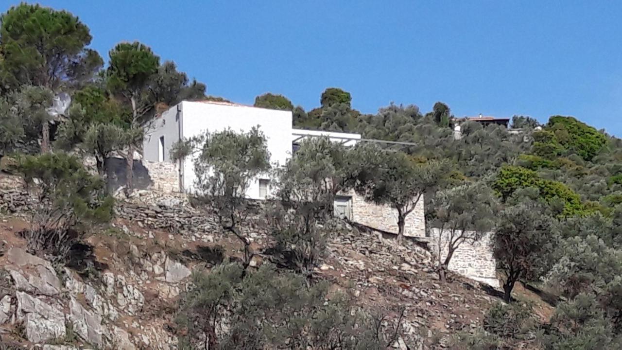 House Λ Villa Moni Evaggelistrias Exterior photo