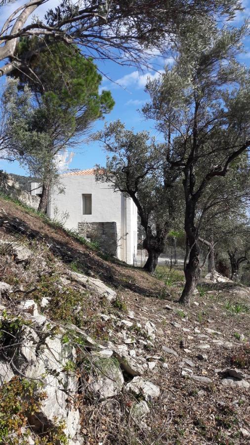 House Λ Villa Moni Evaggelistrias Exterior photo